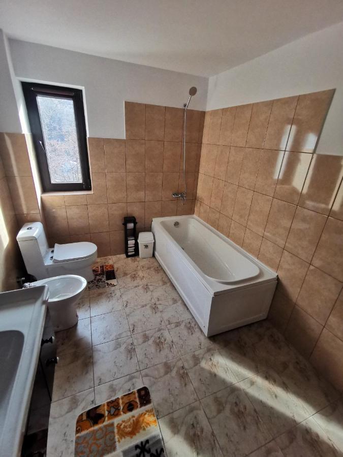 Mister Guest Apartment Nehoiu Luaran gambar