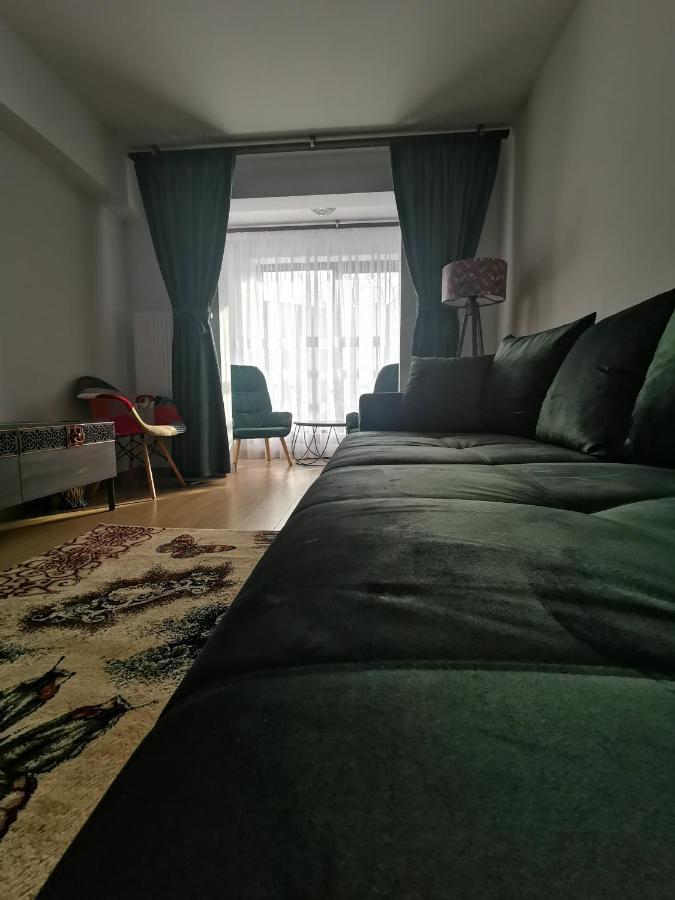 Mister Guest Apartment Nehoiu Luaran gambar